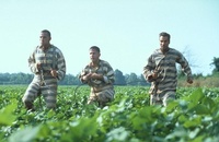 пальто "брате, де ти" темне